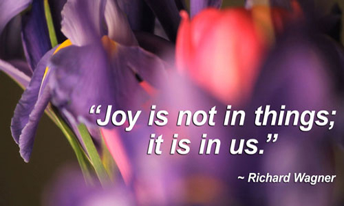 joy-is-in-us-purple-flowers-500-300.jpg