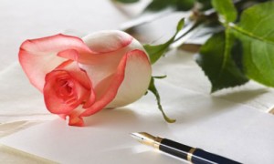 rose-paper-pen