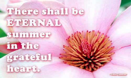 eternal-summer