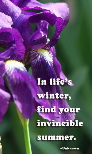 lifes-winter