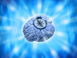 compass-brain
